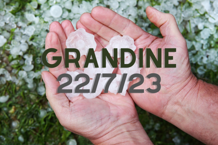 Grandine 22 luglio 2023 - Rendicontazione 2024/25