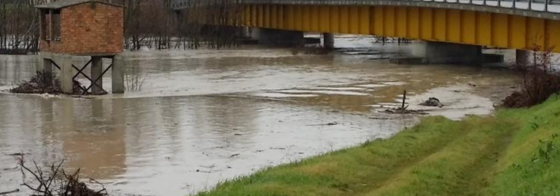 Autorizzazione alla raccolta del legname caduto nell'alveo del Fiume Reno